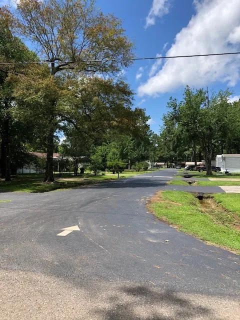 Sugar Pines RV & Mobile Home Park Picture 6