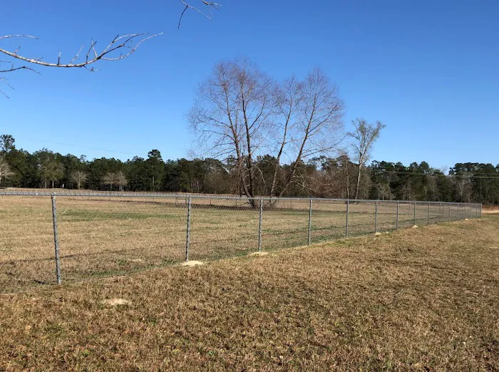 Paradise RV Resort Picture 3