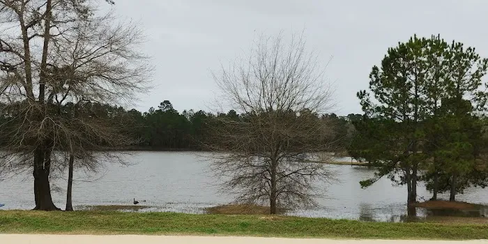 Paradise RV Resort Picture 5