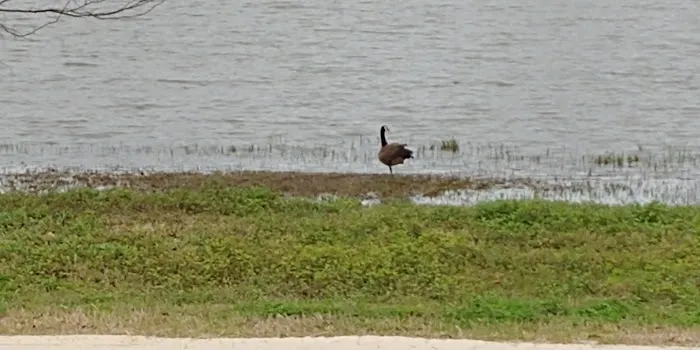 Paradise RV Resort Picture 7