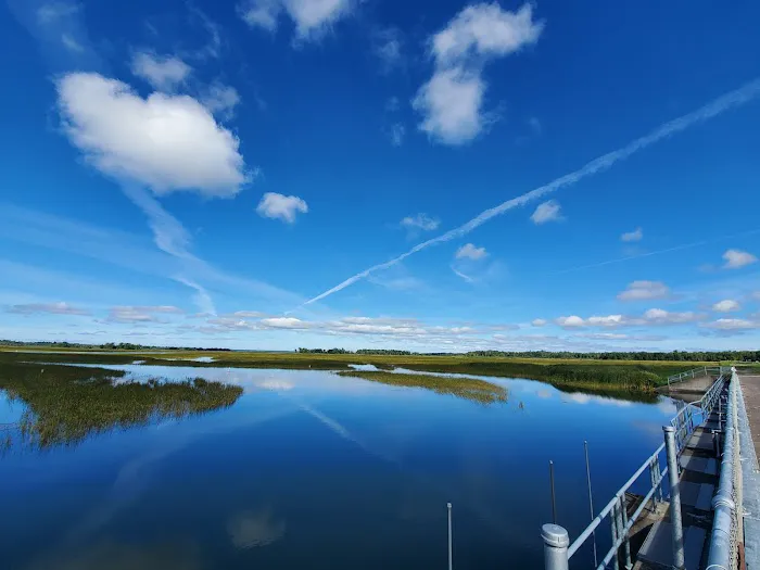 US Army Corps of Engineers Picture 4