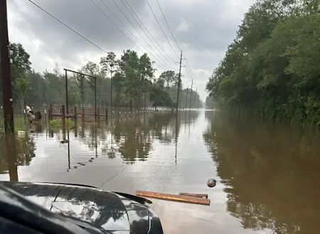Big Thicket RV Park