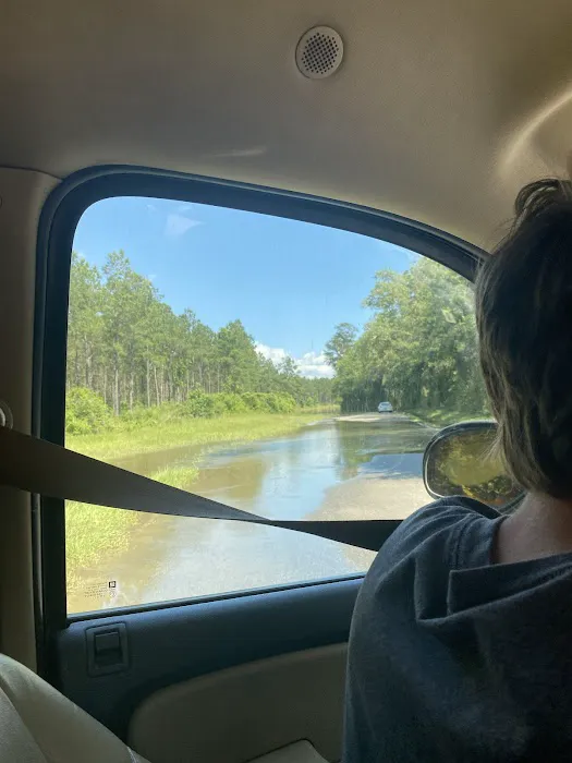 Big Thicket RV Park Picture 5