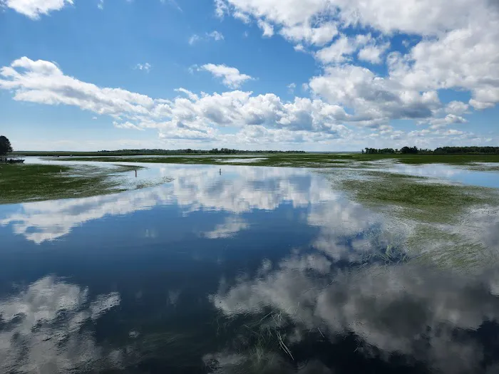 Leech Lake Recreation Area Picture 3