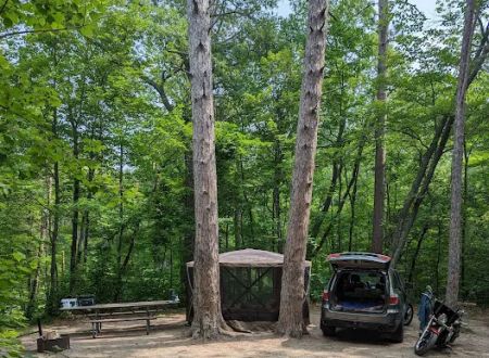 Williams Narrows campground