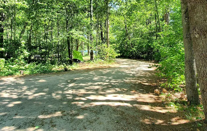 Williams Narrows campground Picture 6