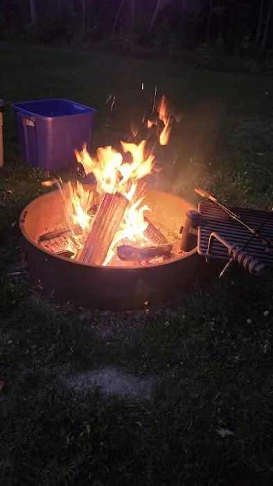 In the woods campground Picture 8