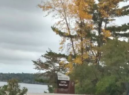 US Forestry Department