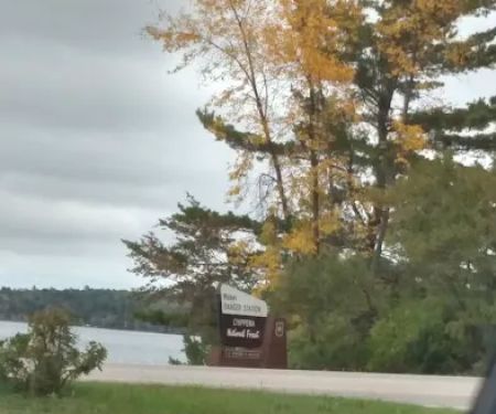 US Forestry Department