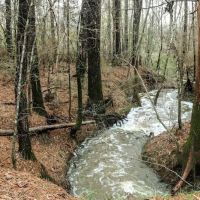 The Ark at Oxbow Lake ico