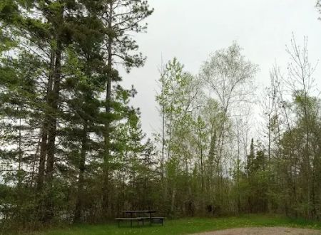 Group Camp