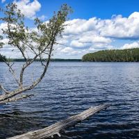 Chase Point Campground ico