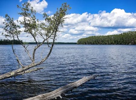 Chase Point Campground