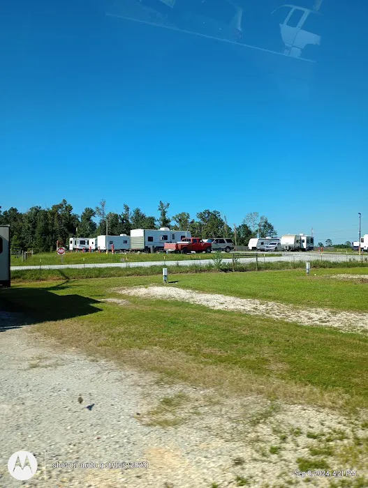Gator RV Park Picture 5