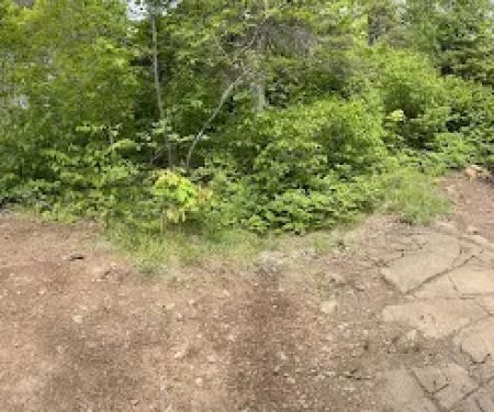 Manitou Backpack Campsite #19