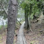 Manitou Backpack Campsite #20