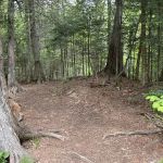 Manitou Backpack Campsite #21