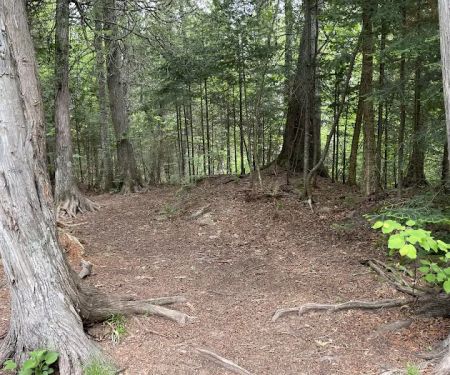 Manitou Backpack Campsite #21