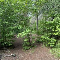Manitou Backpack Campsite #4 ico