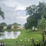 University Lakes