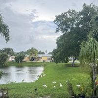 University Lakes ico