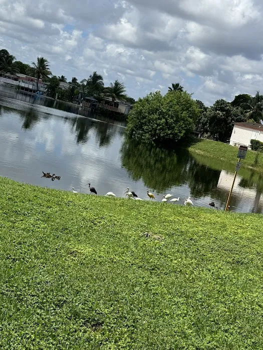 University Lakes Picture 5