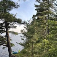 Superior National Forest Campsite #2120 ico