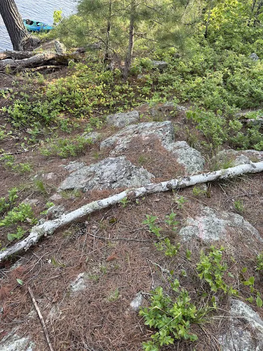 Superior National Forest Campsite #2120 Picture 4