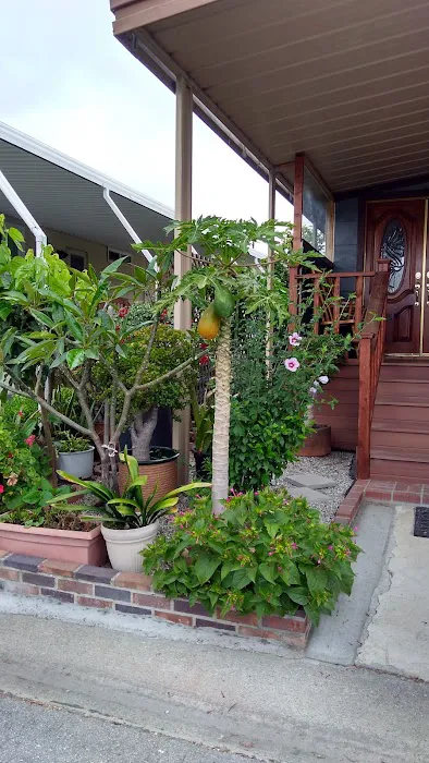 San Rafael Mobile Home Park Picture 8