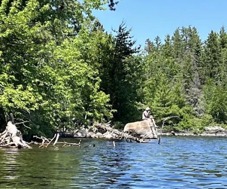 BWCA Campsite #1604
