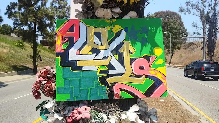 El Rancho Verde Picture 5