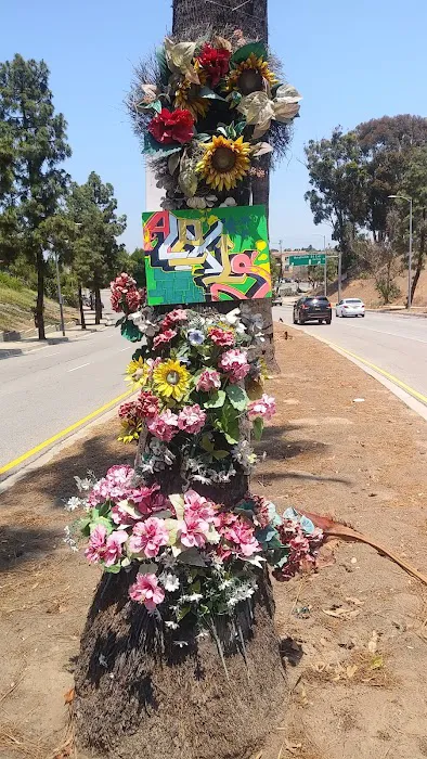 El Rancho Verde Picture 8