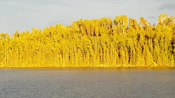 Nels Lake Picture 1