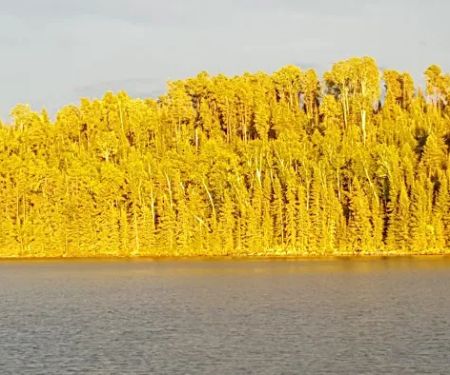 Nels Lake