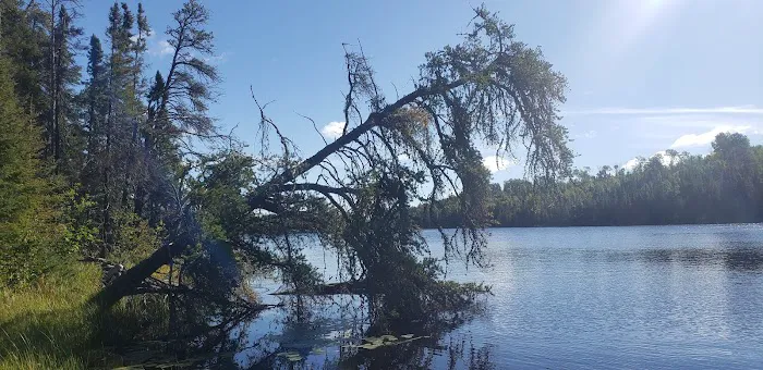Nels Lake Picture 9