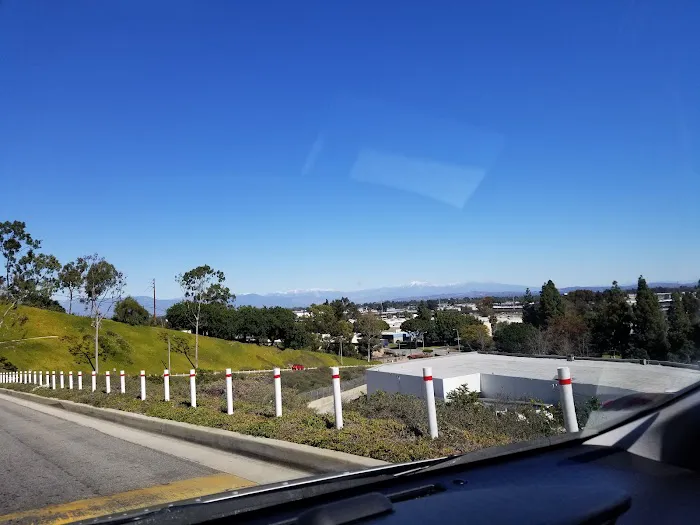 Dominguez Hills Estates Picture 5