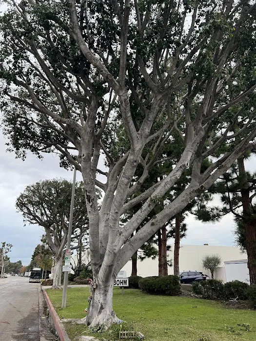 Dominguez Hills Estates Picture 4