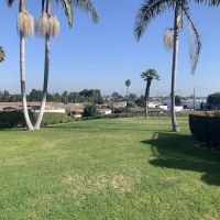 Mertz Del Amo Estates ico