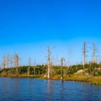 Pose Lake Campsite - Powwow Trail ico