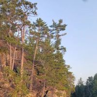 BWCA Campsite #990 ico