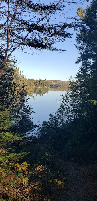BWCA Campsite #990 Picture 2