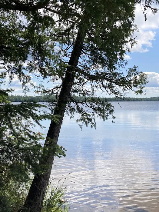 Whitefish Lake Rustic Campgd & Timber-Frear Area Picture 5