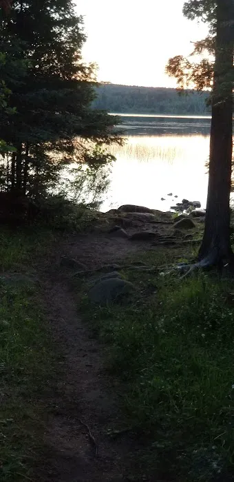 Toohey Lake Rustic Campground Picture 8