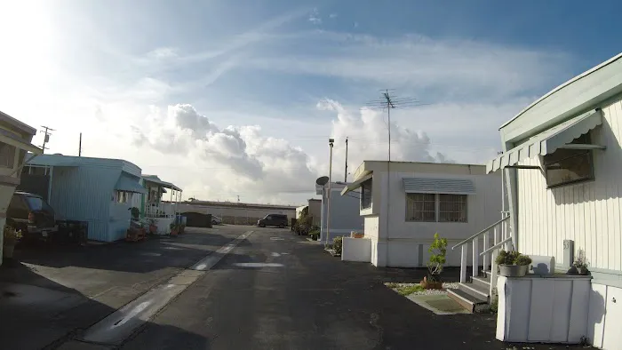 Starlite Trailer Park Picture 3