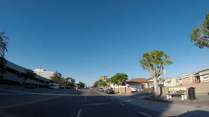 Starlite Trailer Park Picture 4