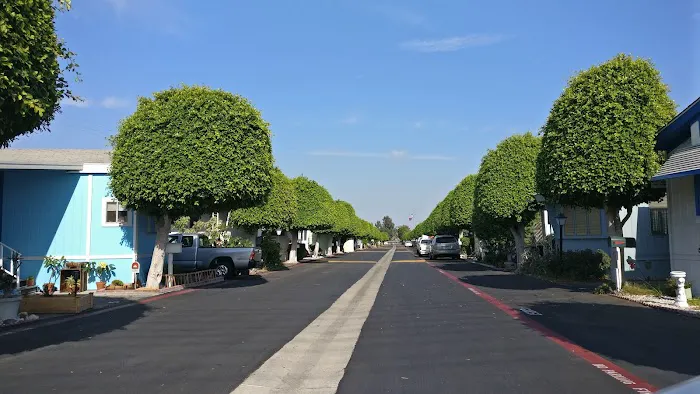 Golden State Mobile Lodge Picture 4