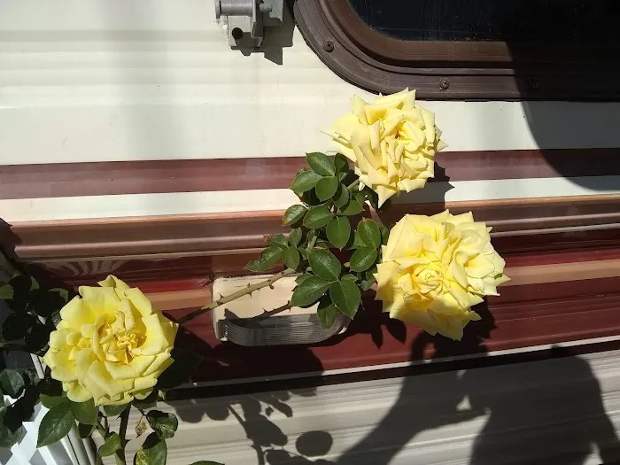 Normandie Mobile Home Park Picture 7