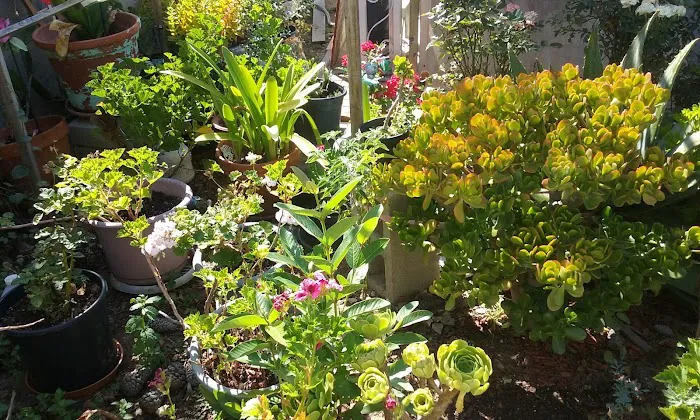 Normandie Mobile Home Park Picture 9