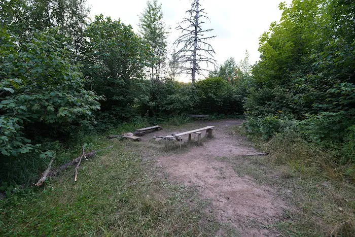 Sugarloaf Pond Camp Picture 1