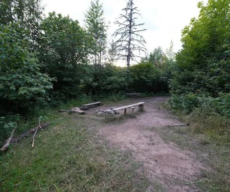 Sugarloaf Pond Camp
